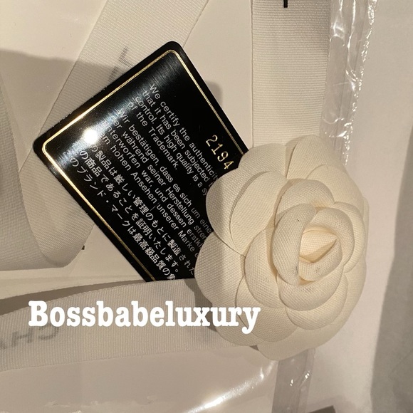 Chanel Cruise silver metallic medium classic flap leather shoulder Ltd Ed bag - Picture 4 of 17